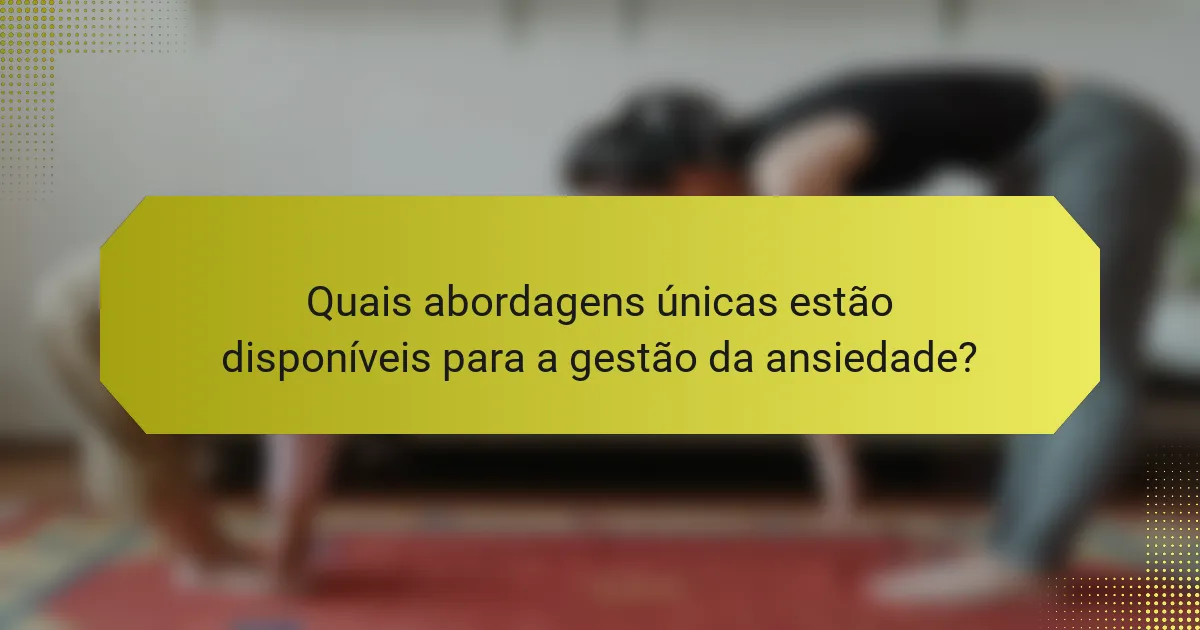 Quais abordagens únicas estão disponíveis para a gestão da ansiedade?