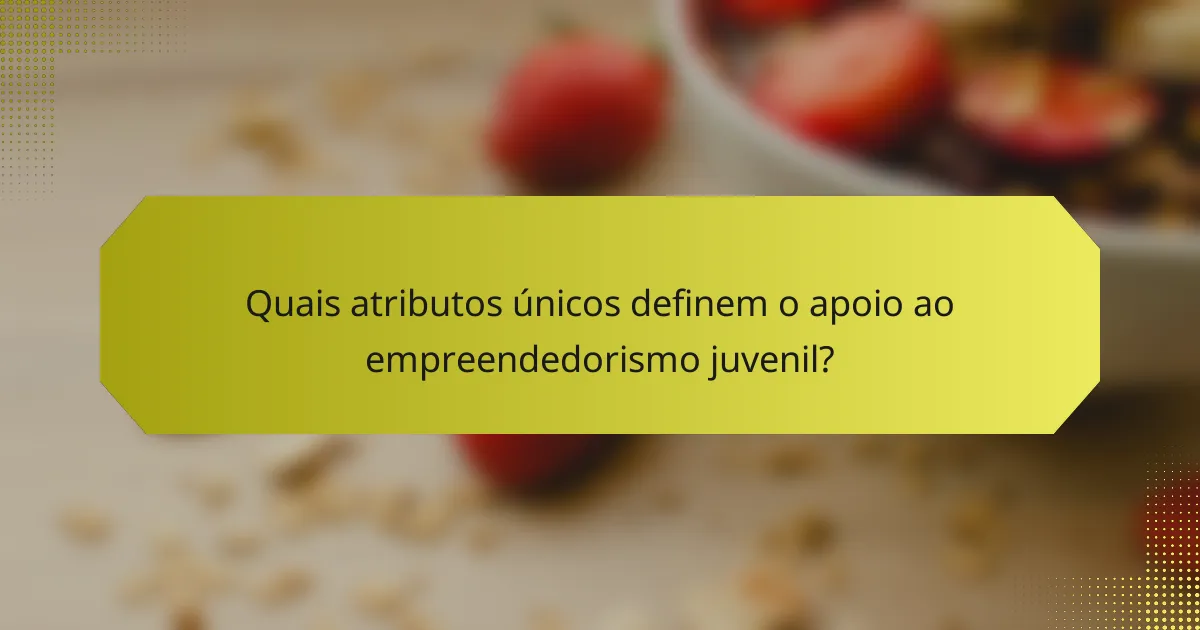 Quais atributos únicos definem o apoio ao empreendedorismo juvenil?