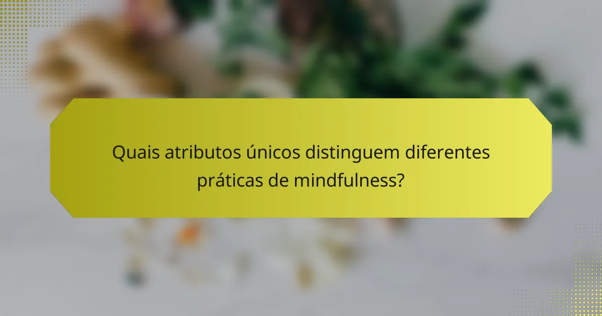 Quais atributos únicos distinguem diferentes práticas de mindfulness?