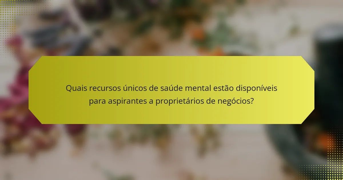 Quais recursos únicos de saúde mental estão disponíveis para aspirantes a proprietários de negócios?