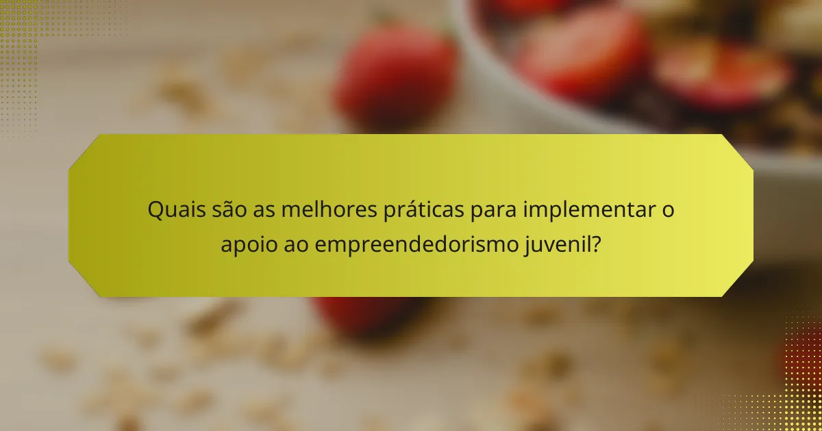 Quais são as melhores práticas para implementar o apoio ao empreendedorismo juvenil?