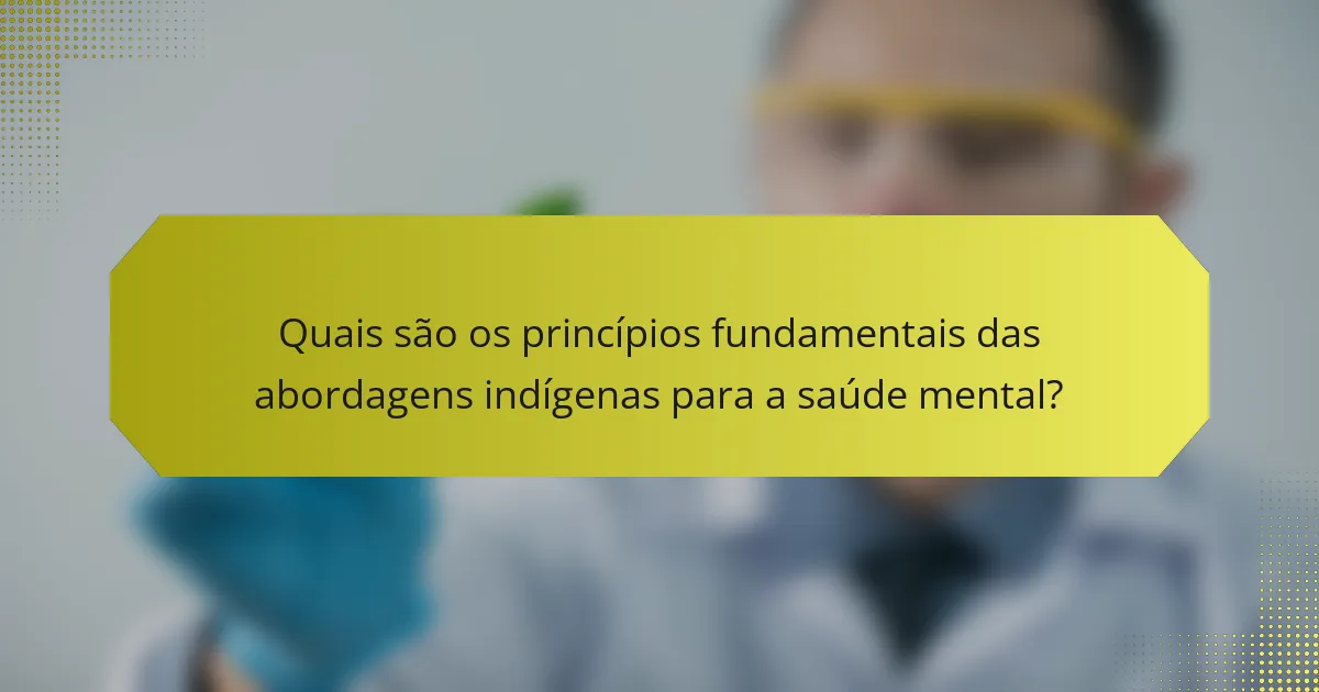 Quais são os princípios fundamentais das abordagens indígenas para a saúde mental?